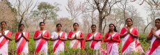 Tea Estate