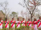 Tea Estate Operations