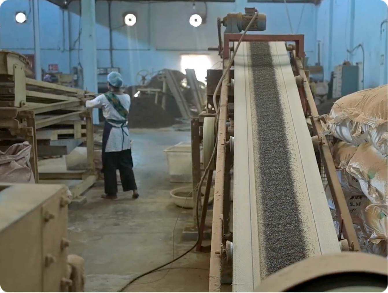 Tea Sorting