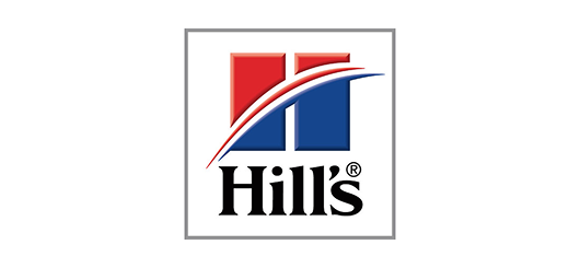 Hills Cement India Limited