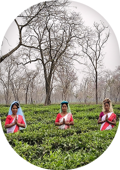 Tea Plantation Workers